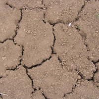 Zemědělcům usnadní práci nový systém pro měření meteorologických podmínek v porostu. Za jeho vývojem stojí vědci z Agronomické fakulty